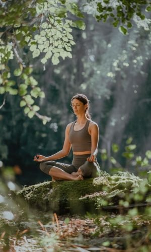 Calm Meditation in Woodland Sanctuary